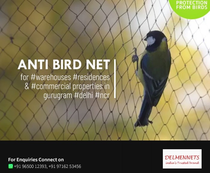 Anti bird Net