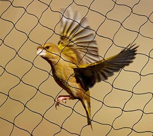 Anti Bird Net Manufacturer and Supplier in Gurgaon