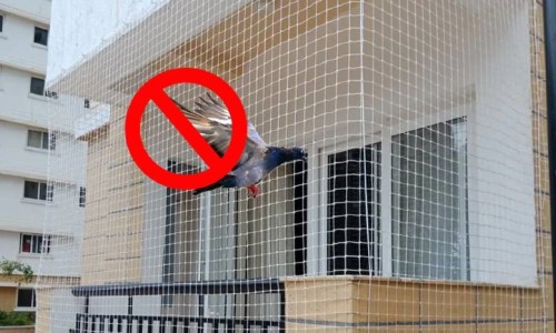 Pigeon Net Manufacturer and supplier in Gurgaon